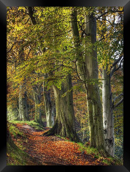 Autumn At Ousbrough Framed Print by Ray Pritchard