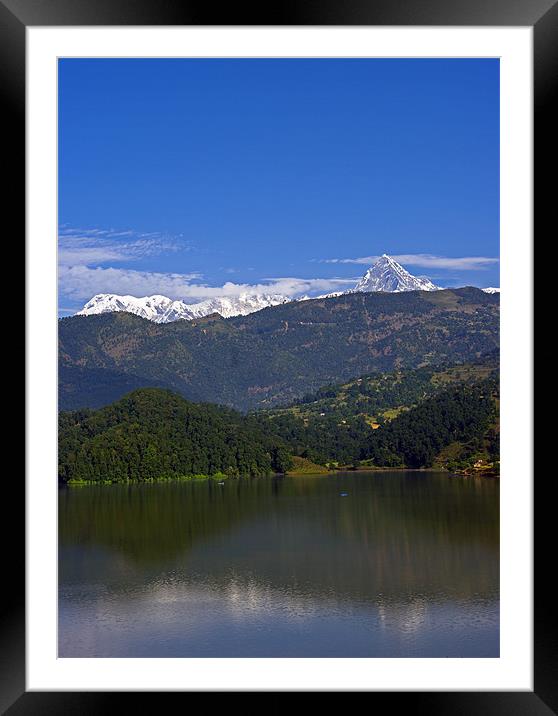 Machapuchare and Annapurna South from Begnas Lake, Framed Mounted Print by Jacqi Elmslie