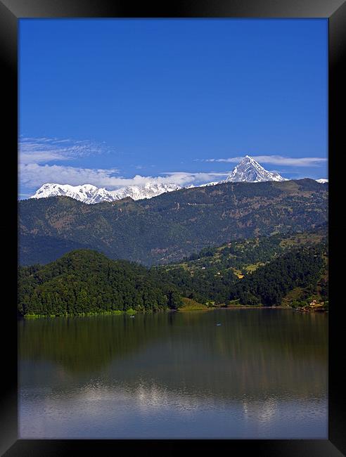 Machapuchare and Annapurna South from Begnas Lake, Framed Print by Jacqi Elmslie