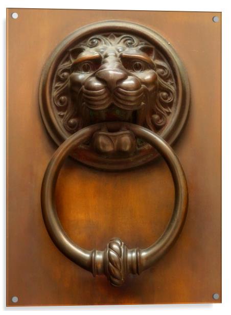 Lion Door     Acrylic by Victor Burnside