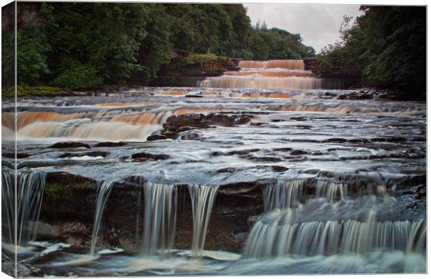 Aysgarth lower falls Canvas Print by David McCulloch