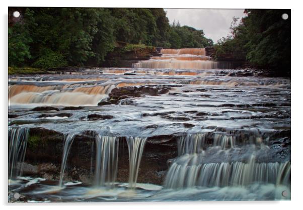 Aysgarth lower falls Acrylic by David McCulloch