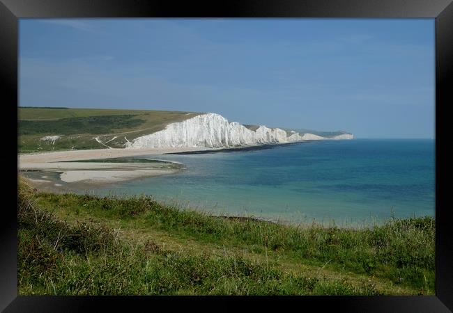 The Seven Sisters and Cuckmere Beach Framed Print by Diana Mower