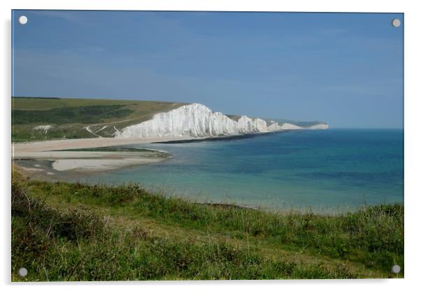 The Seven Sisters and Cuckmere Beach Acrylic by Diana Mower