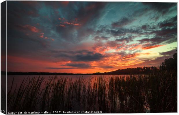 Sunset At Lake Louisa Florida Canvas Print by matthew  mallett