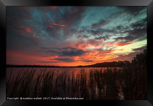 Sunset At Lake Louisa Florida Framed Print by matthew  mallett