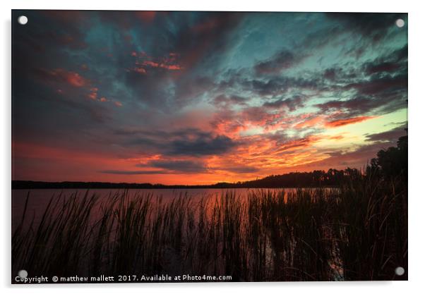 Sunset At Lake Louisa Florida Acrylic by matthew  mallett