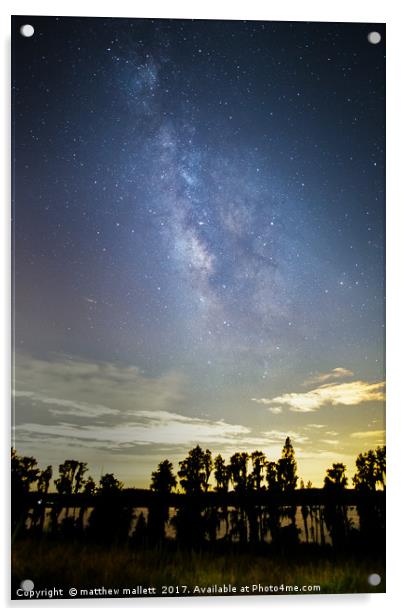 Lake Dixie Florida Milky Way Acrylic by matthew  mallett