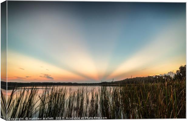 Anti Crepuscular Rays Sunrise Over Lake Dixie Flor Canvas Print by matthew  mallett