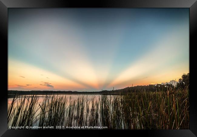 Anti Crepuscular Rays Sunrise Over Lake Dixie Flor Framed Print by matthew  mallett