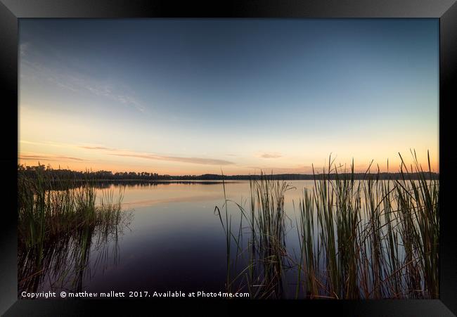 Peaceful Lake Dixie Florida Sunrise Framed Print by matthew  mallett