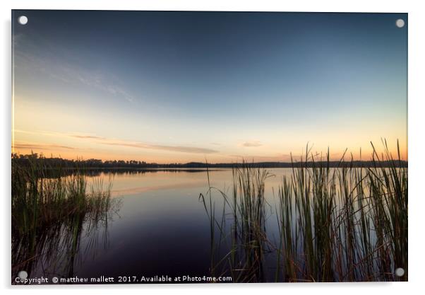 Peaceful Lake Dixie Florida Sunrise Acrylic by matthew  mallett