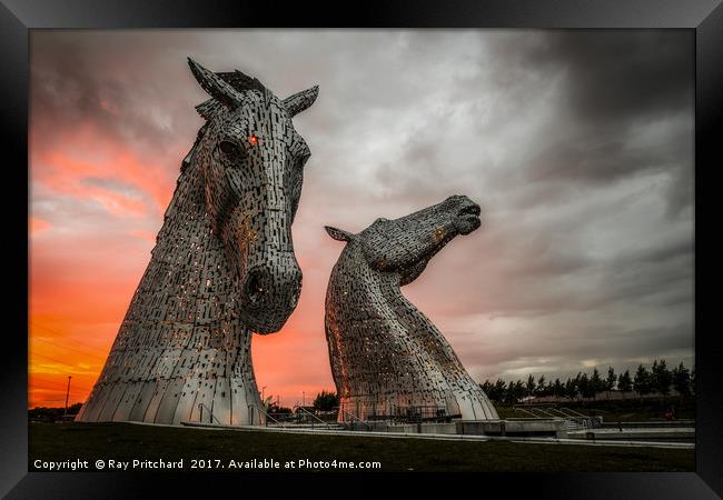 The Kelpies at Sunset Framed Print by Ray Pritchard