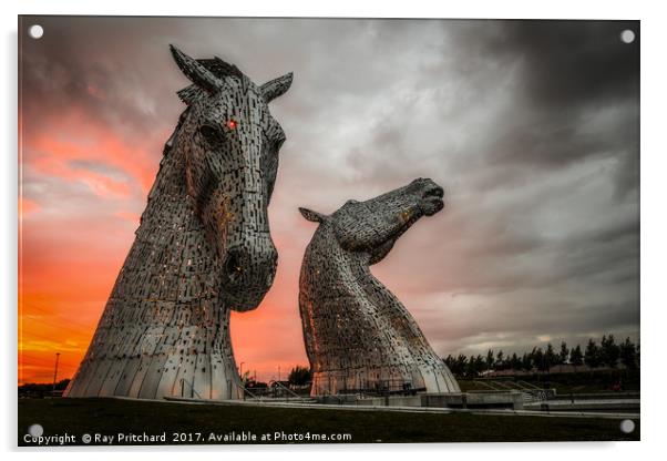 The Kelpies at Sunset Acrylic by Ray Pritchard