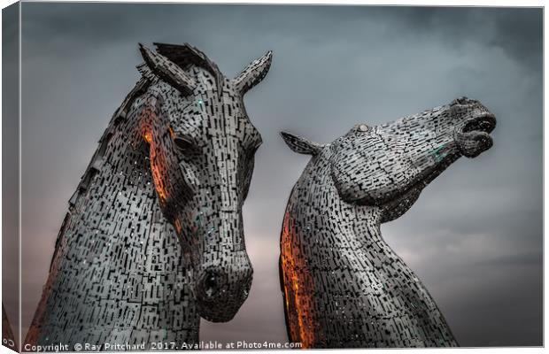 The Kelpies Lit up by Sunset  Canvas Print by Ray Pritchard