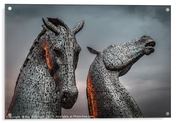 The Kelpies Lit up by Sunset  Acrylic by Ray Pritchard