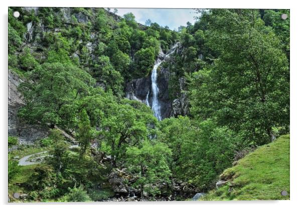 Aber Falls Snowdonia Acrylic by Diana Mower