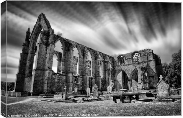 Bolton Abbey Canvas Print by David Pacey