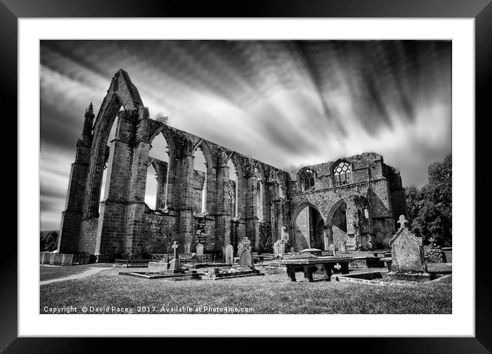 Bolton Abbey Framed Mounted Print by David Pacey