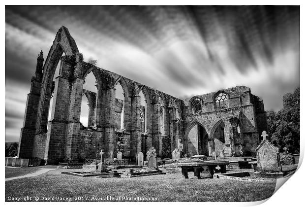 Bolton Abbey Print by David Pacey