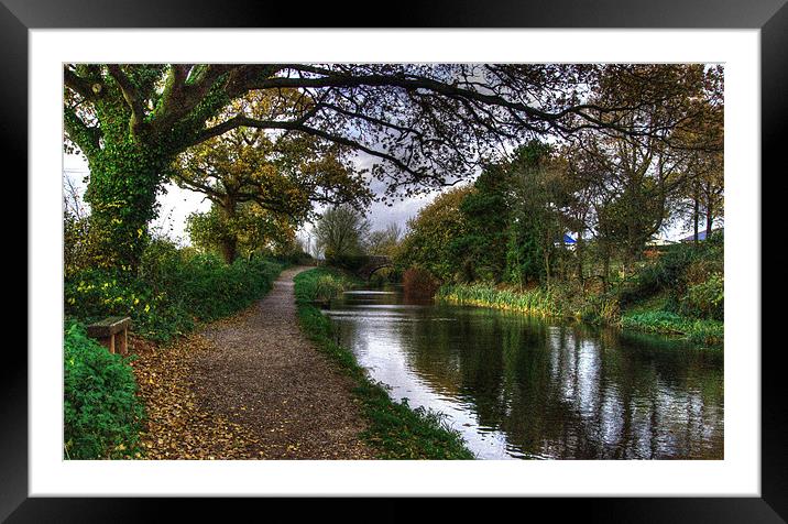 Grand Western Canal at Crown Hill Framed Mounted Print by Rob Hawkins