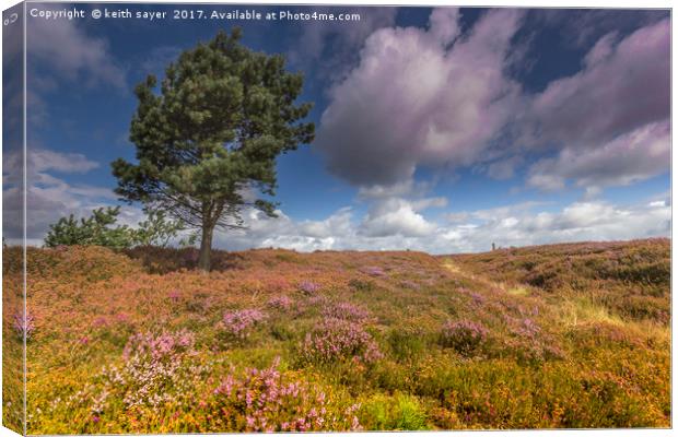 North Yorkshire Moors Canvas Print by keith sayer