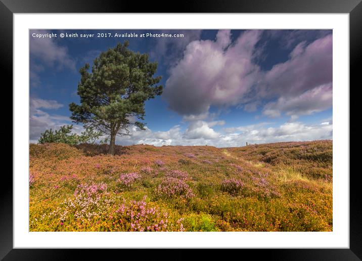 North Yorkshire Moors Framed Mounted Print by keith sayer