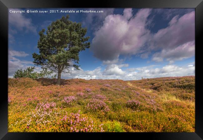 North Yorkshire Moors Framed Print by keith sayer