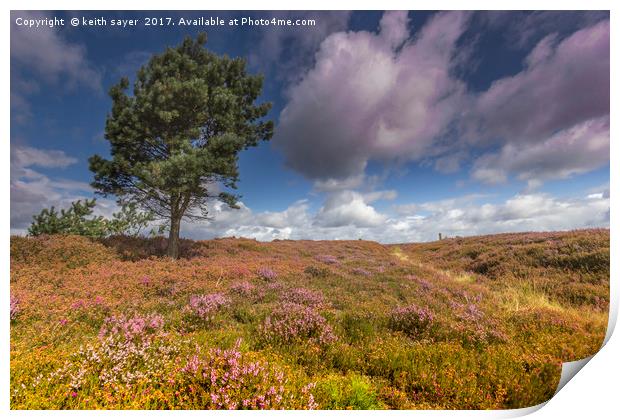 North Yorkshire Moors Print by keith sayer