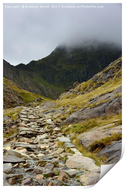 Path to the Mountains Print by Svetlana Sewell