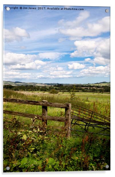 Rural Northumberland 2 Acrylic by Jim Jones
