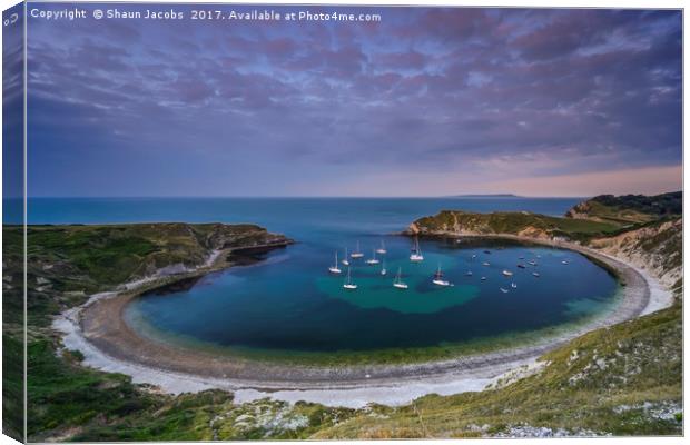 Lulworth cove at sunrise  Canvas Print by Shaun Jacobs
