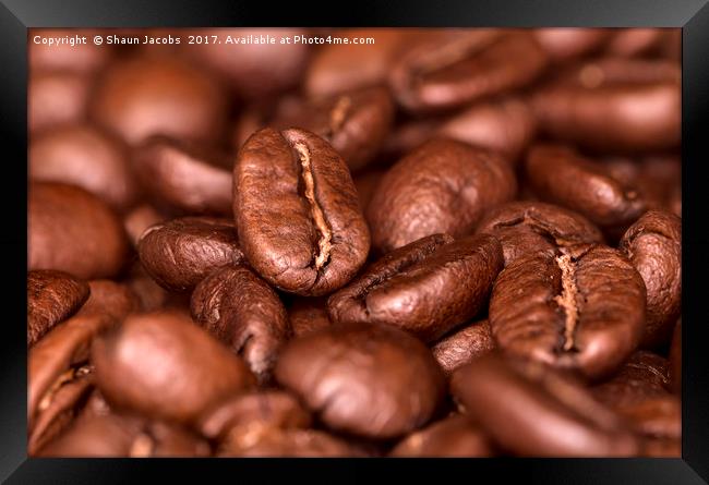 Coffee beans  Framed Print by Shaun Jacobs
