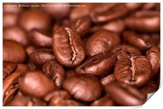 Coffee beans  Print by Shaun Jacobs