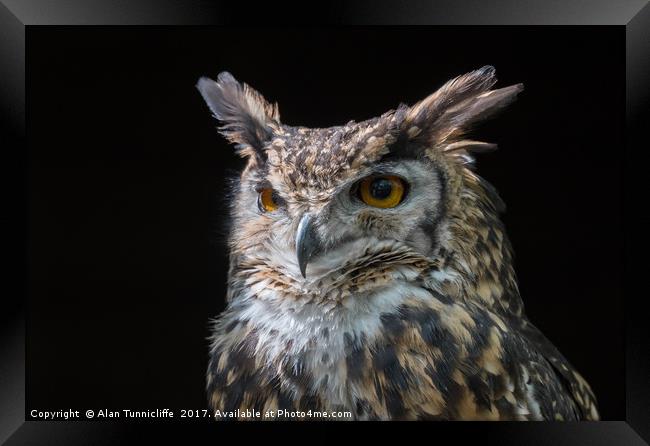 MacKinders eagle owl Framed Print by Alan Tunnicliffe