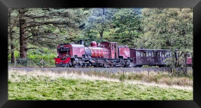 Garratt Class Locomotive Framed Print by Roger Green