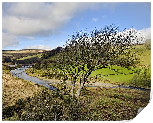 Tree with a view over Landacre Bridge Print by Mike Gorton