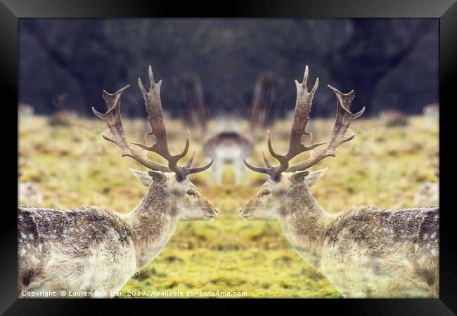 Oh Deer Me! Framed Print by Lauren Bywater
