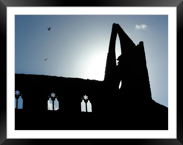 Tintern Glow Framed Mounted Print by Mary Lane