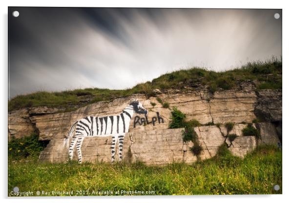 Ralph the Zebra Acrylic by Ray Pritchard