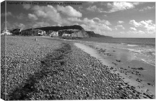 Girl on Sidmouth Beach Canvas Print by Chris Day
