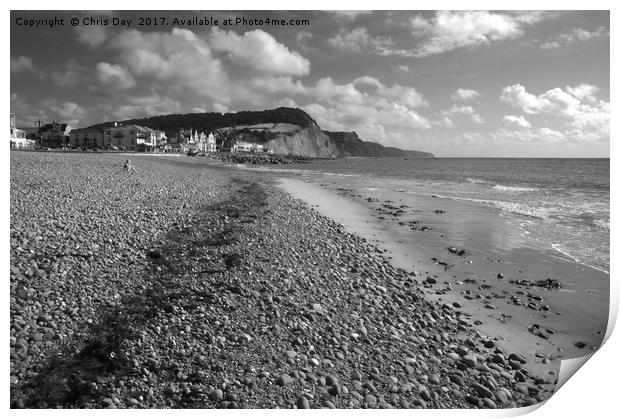 Girl on Sidmouth Beach Print by Chris Day