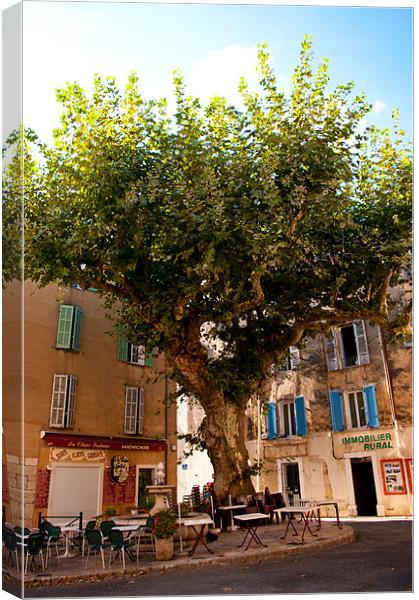 Cafe in Provence Canvas Print by Jacqi Elmslie