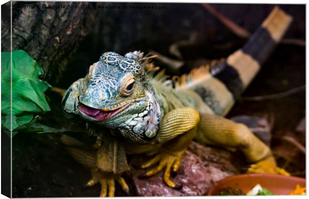 Reptile. Canvas Print by Angela Aird