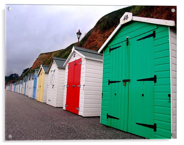 Beach Huts - Seaton Acrylic by Samantha Higgs