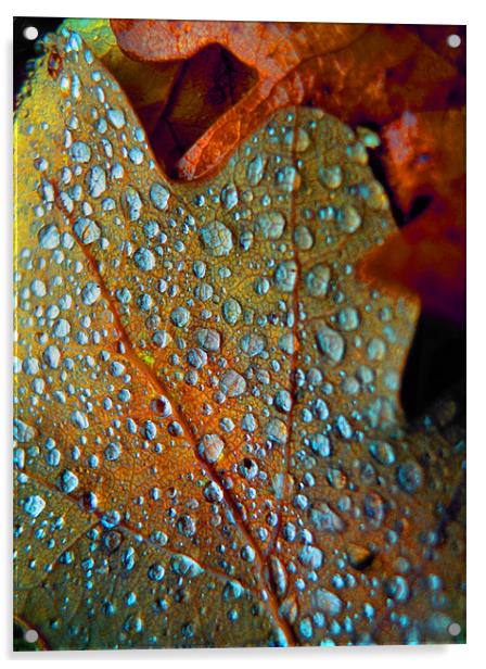 contemporary autumn Acrylic by Heather Newton