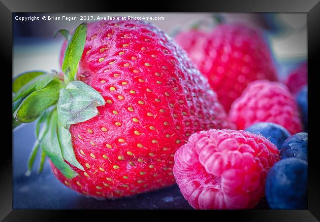 Strawberry delight Framed Print by Brian Fagan