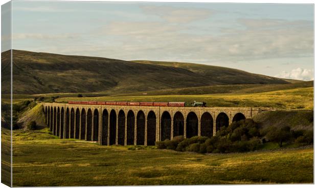 Flying Scotsman passing over Ribbleshead Viaduct Canvas Print by David Oxtaby  ARPS