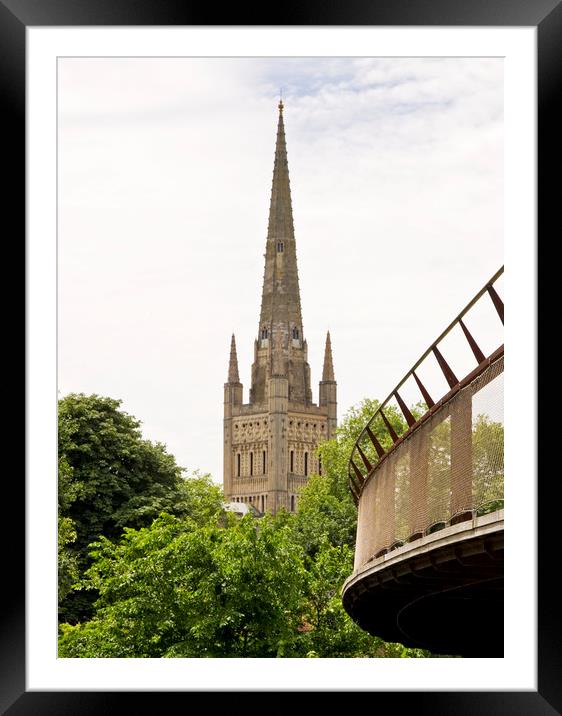 Norwich Cathedral and Carter Bridge Framed Mounted Print by Darren Burroughs