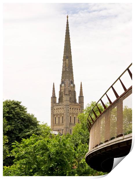 Norwich Cathedral and Carter Bridge Print by Darren Burroughs